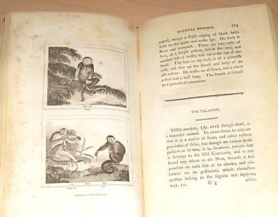 Natural History 1792. English version. Buffon 3