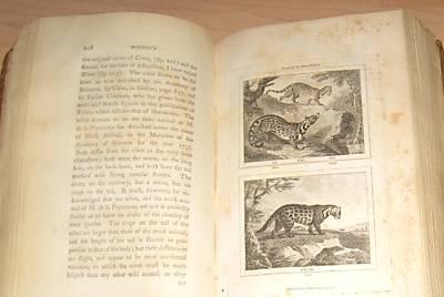 Natural History 1792. English version. Buffon 4
