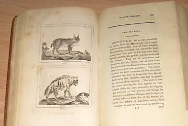 Natural History 1792. English version. Buffon 5
