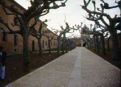 Avenida arbolada de entrada al monasterio de Veruela