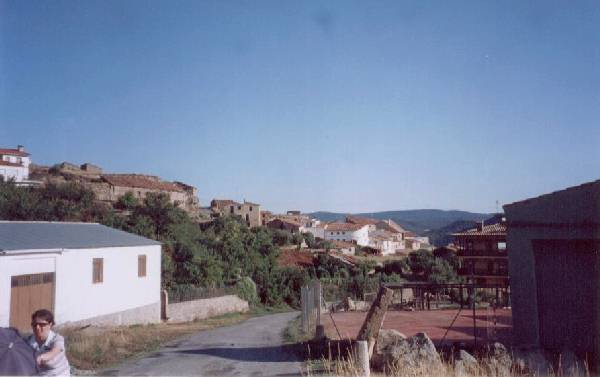 Formiche Bajo 2