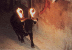 Teruel. Toro de Fuego